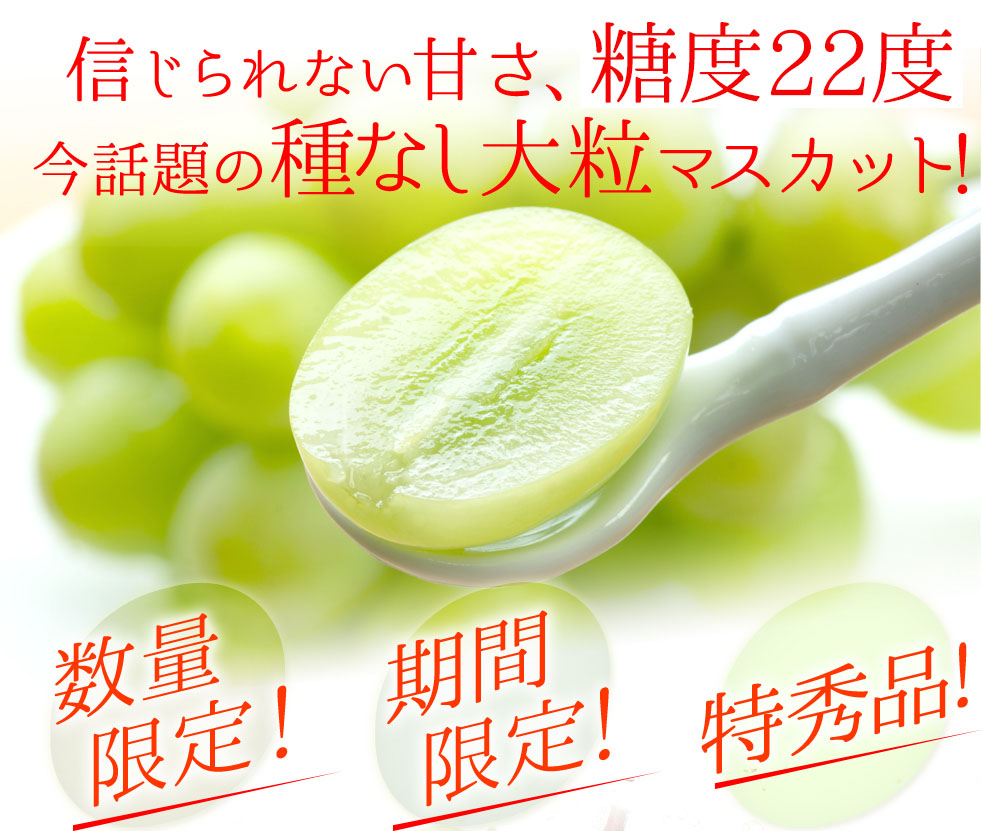 �V���C���}�X�J�b�g ���i����