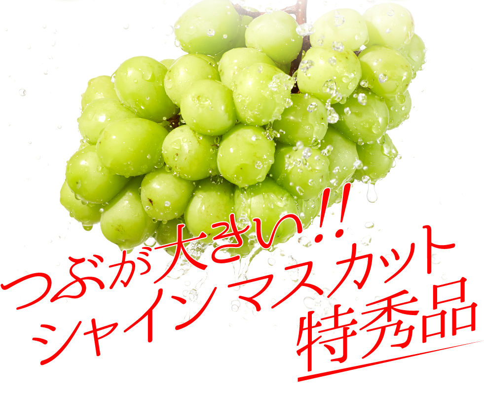 �V���C���}�X�J�b�g�̓���