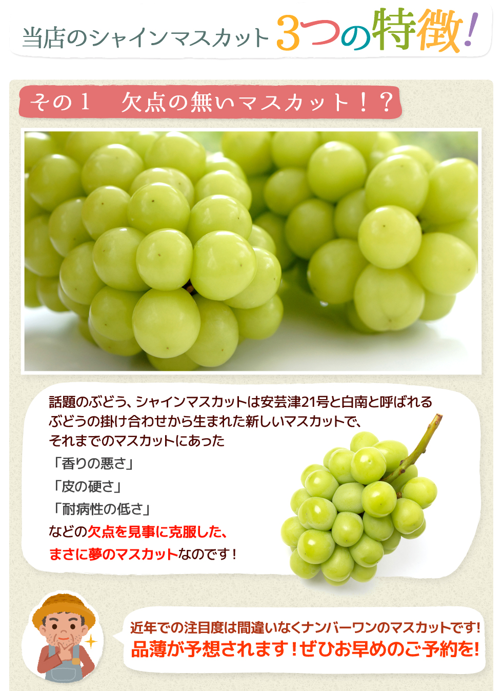 �V���C���}�X�J�b�g�̂������߃|�C���g