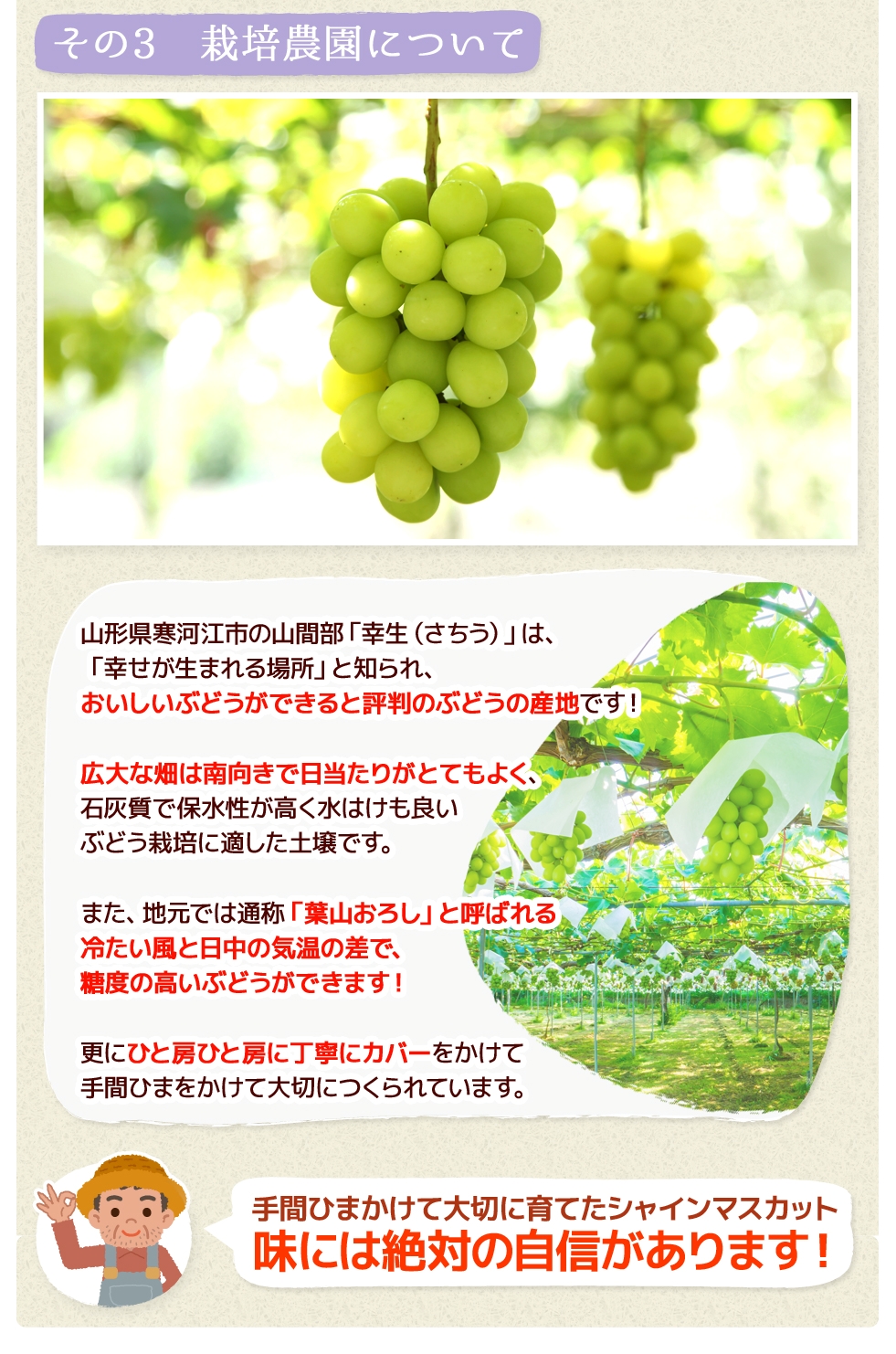 �V���C���}�X�J�b�g�̖��킢�Ɠ���