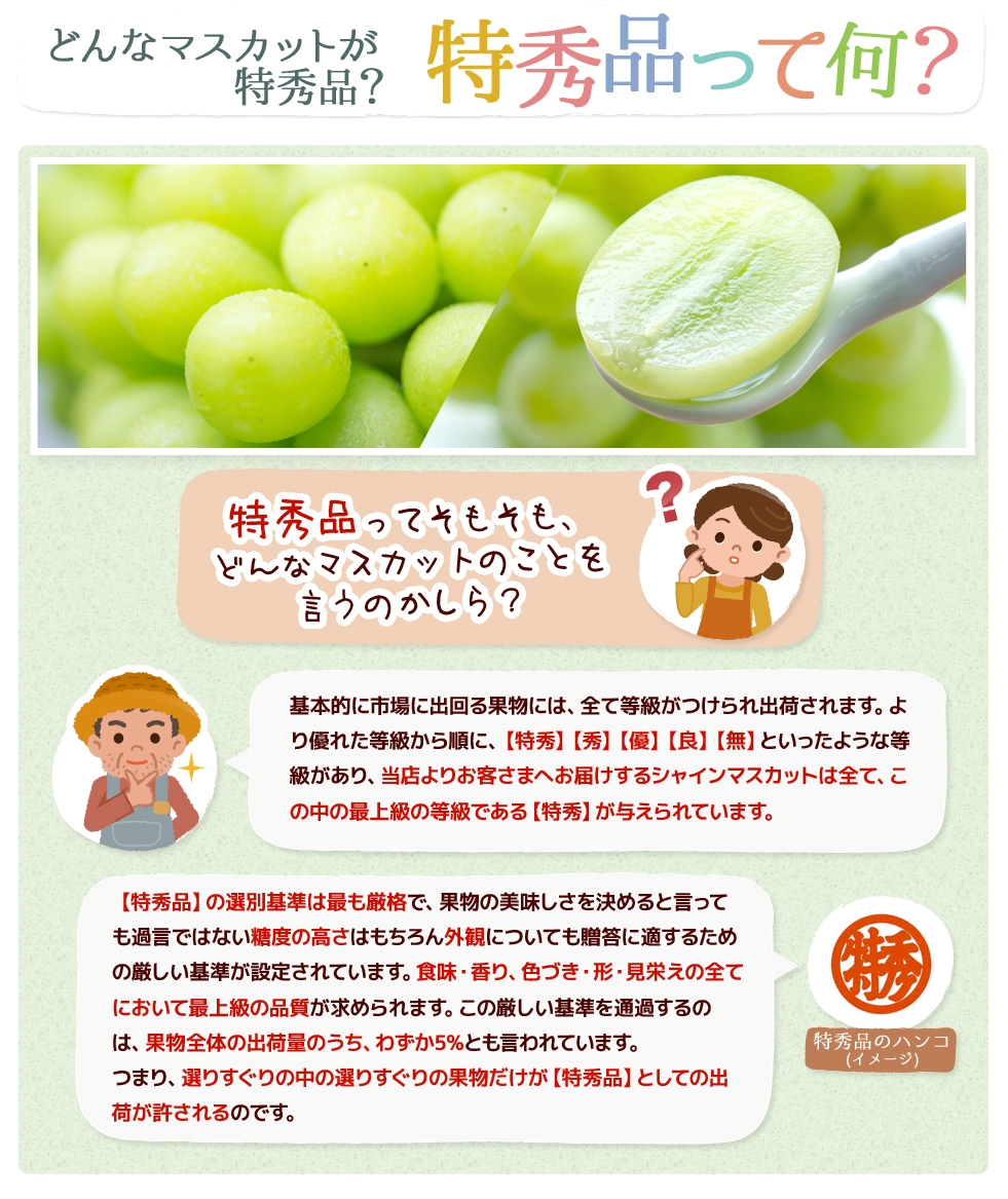 �V���C���}�X�J�b�g ���͂����e