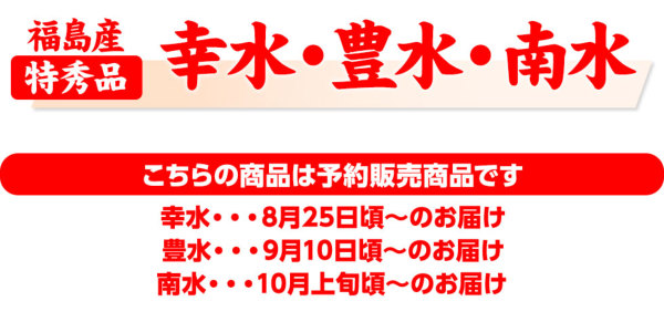 福島県産 梨 特秀品 3kg