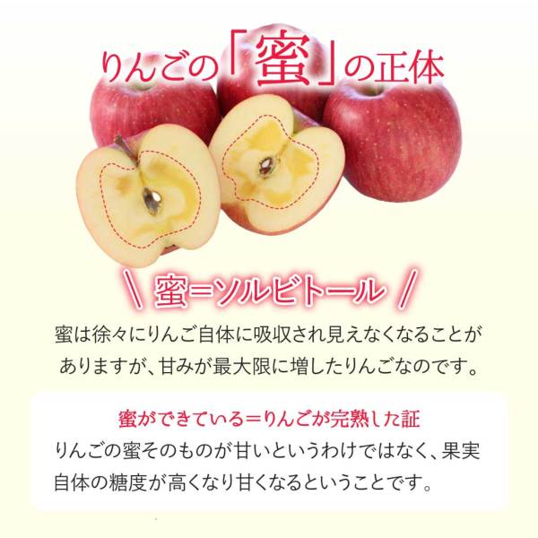 山形県産 訳ありりんご5kg