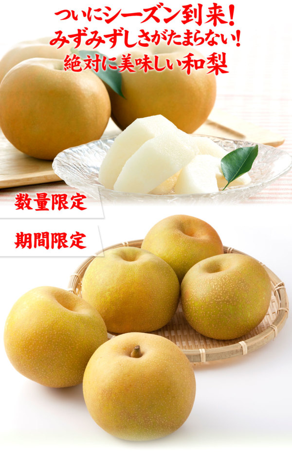 福島の梨｜福島県産 梨 特秀 約4.7㎏（12～18玉）農家直送