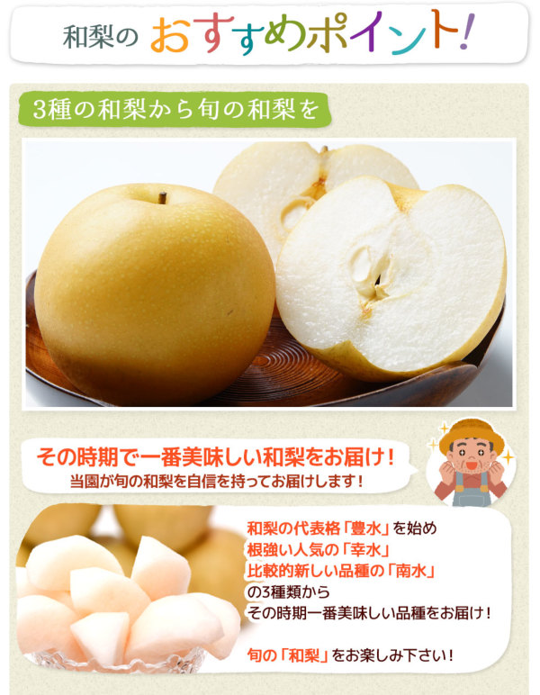 福島の梨｜福島県産 梨 特秀 約4.7㎏（12～18玉）農家直送