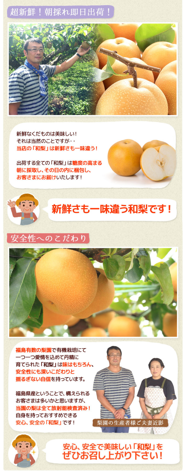 福島の梨｜福島県産 梨 特秀 約4.7㎏（12～18玉）農家直送