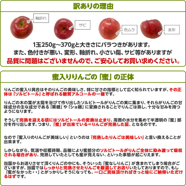 福島県産りんご訳あり送料無料