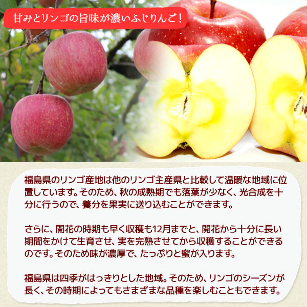 福島県産りんご訳あり送料無料