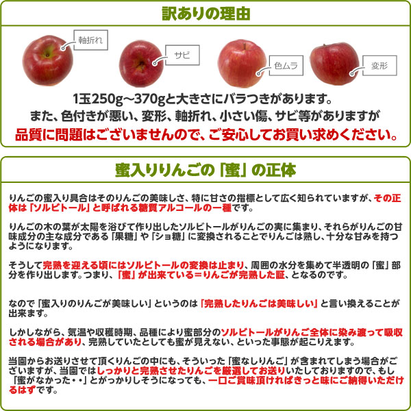 福島県産りんご特秀品送料無料