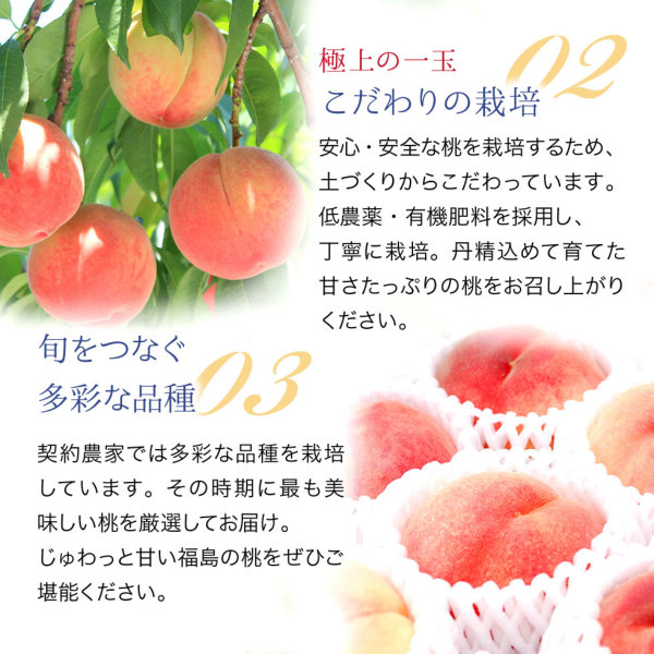 福島県産 桃 訳あり 4.7kg（15～28玉)｜産地直送 送料無料
