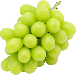 �V���C���}�X�J�b�g