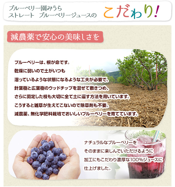 ブルーベリージュース(加糖) 720ml×5本入りセット