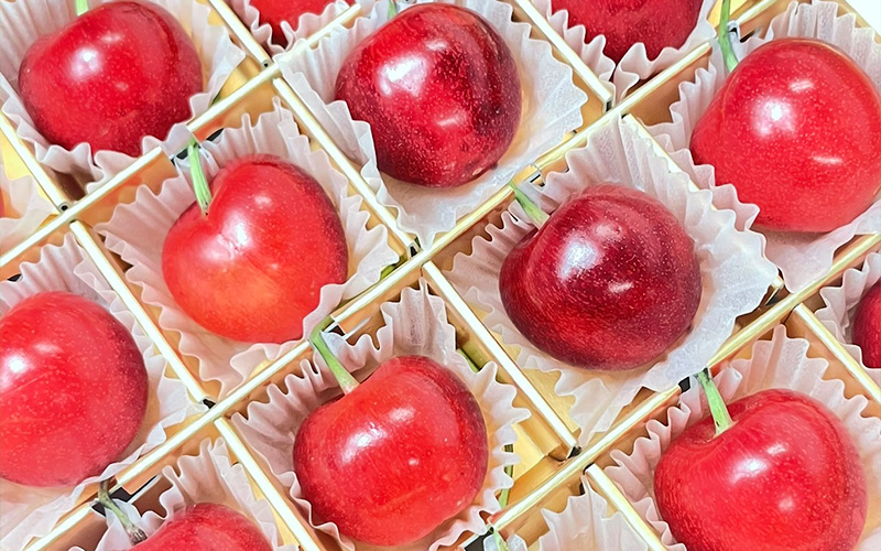 ������p���瑡���p�܂�