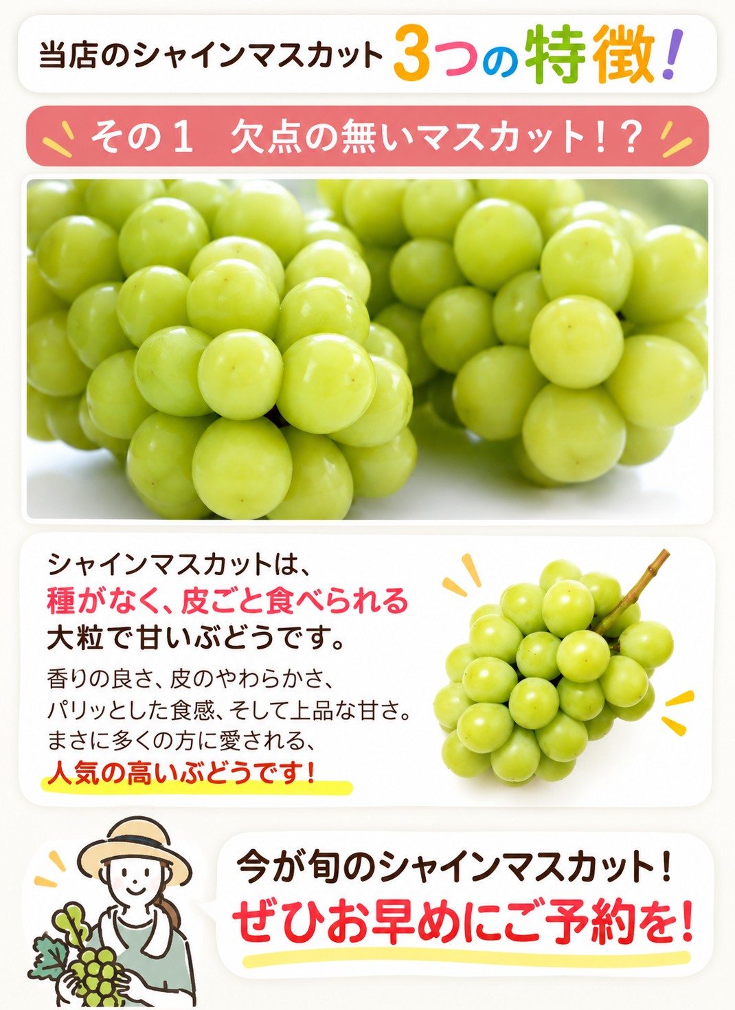 �R�`���Y �V���C���}�X�J�b�g�̓���
