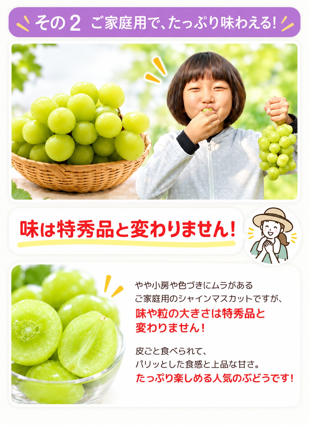 �R�`���Y �V���C���}�X�J�b�g�̂�������