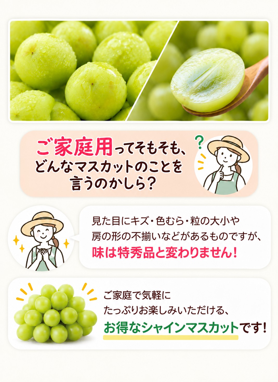 �R�`���Y �V���C���}�X�J�b�g ���ƒ�p�ɂ���