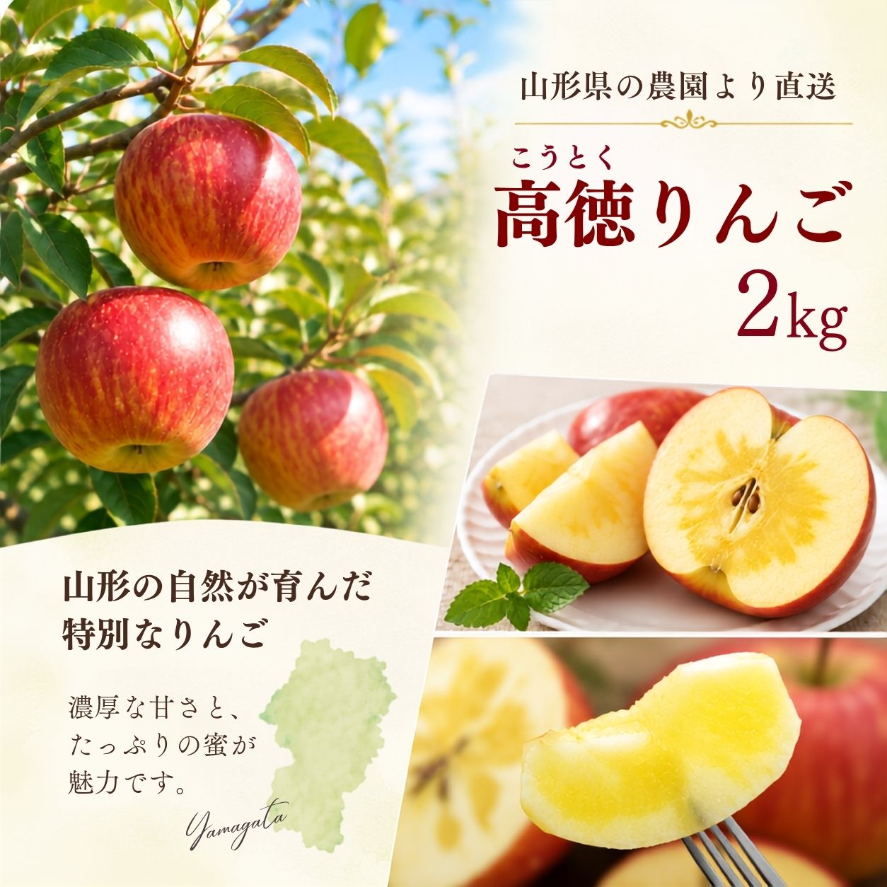 �󏭂ȍ�����񂲂̓���