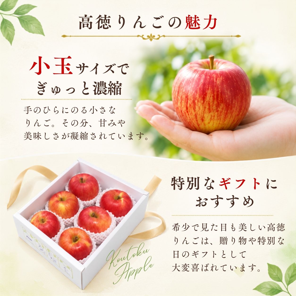 �����荂����񂲂̖���