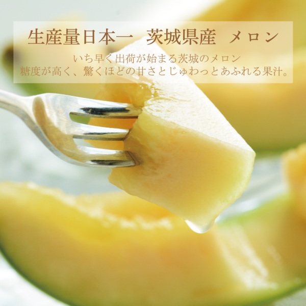 楽天市場】茨城県産 JA茨城旭村 オトメメロン 優品以上4Lから3L