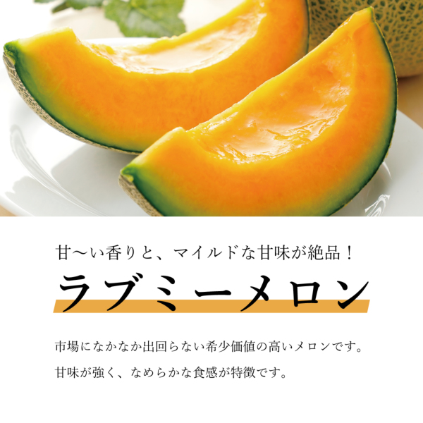 ���u�~�[������