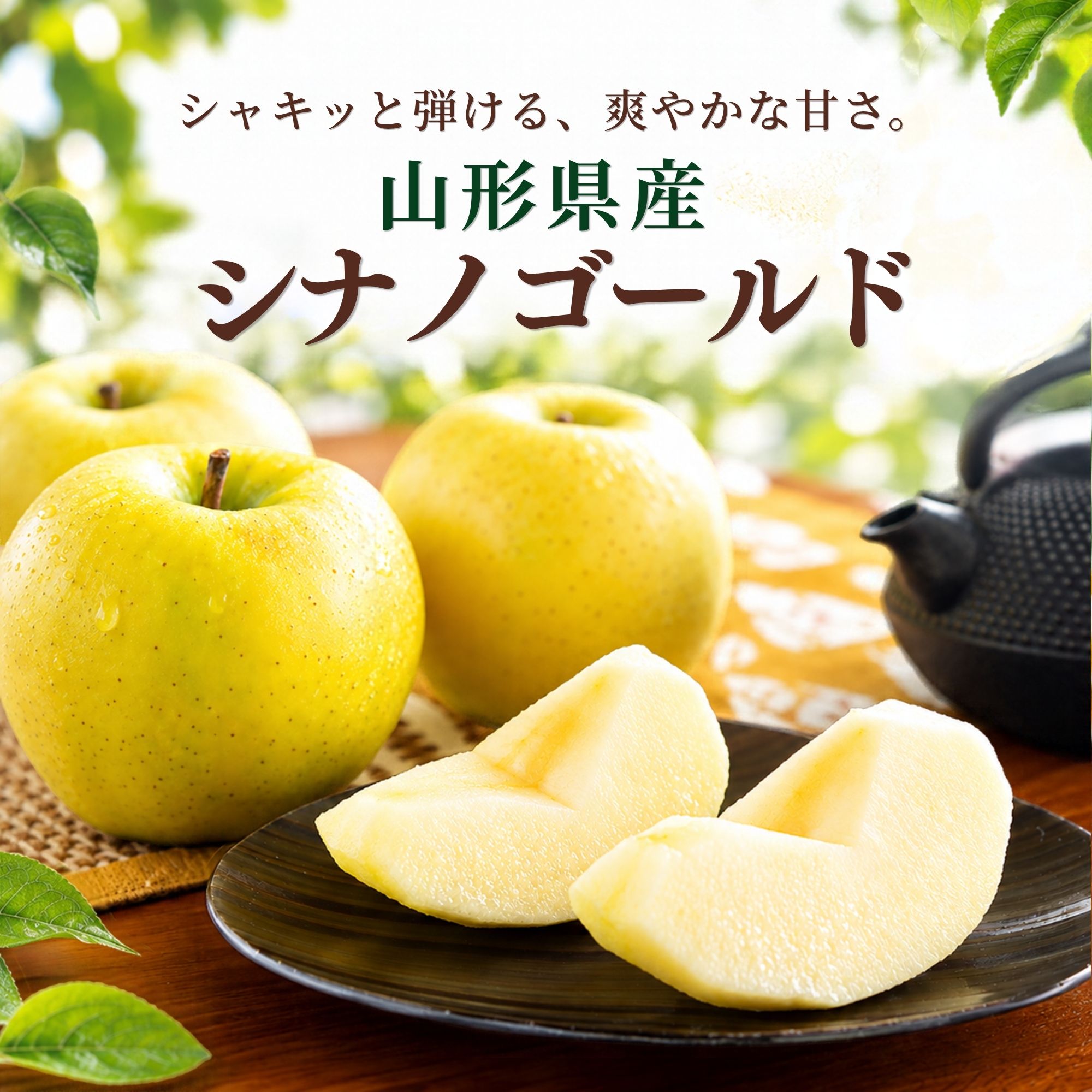 �R�`���Y �V�i�m�S�[���h��� ��10kg