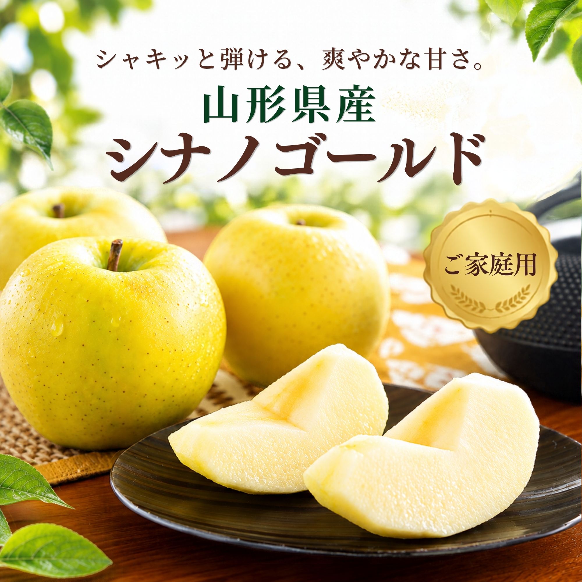 �R�`���Y �V�i�m�S�[���h��� ��5kg�i13�`20�ʁj