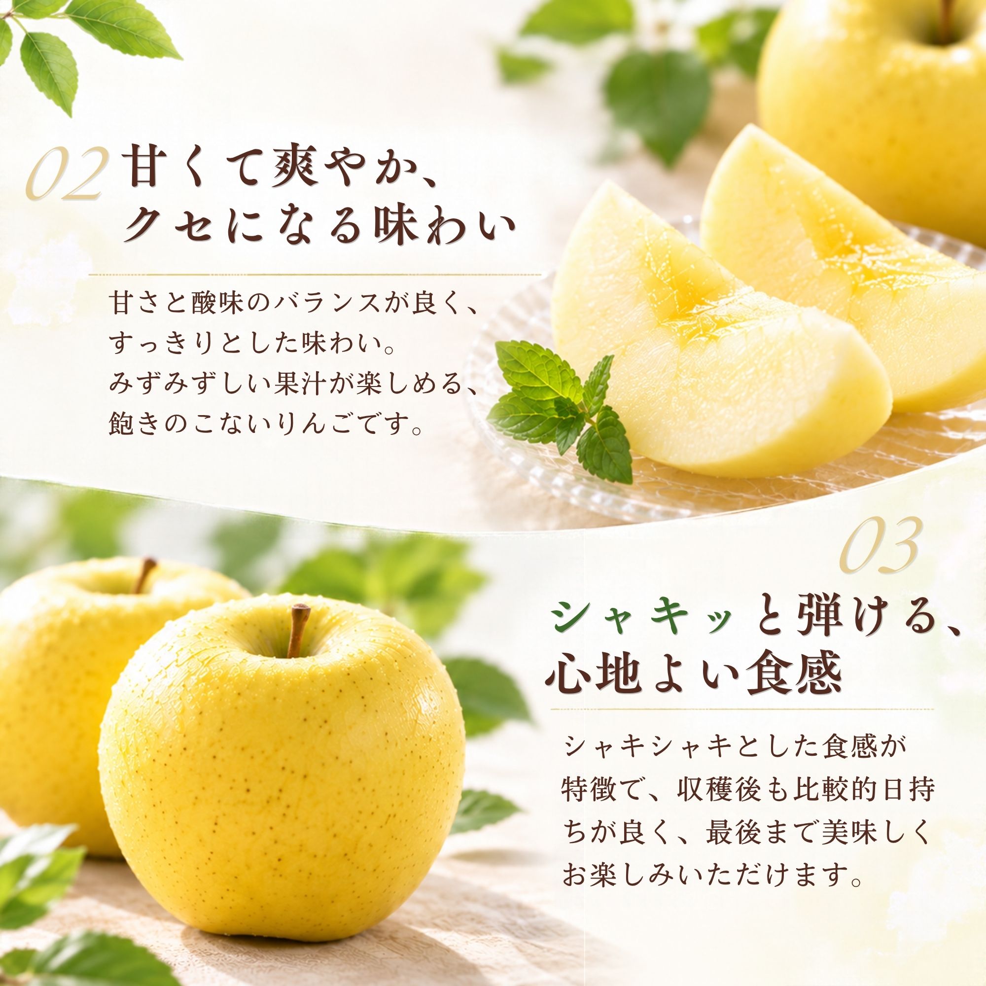 �p���b�Ƃ����H���̃V�i�m�S�[���h