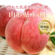 �A�C�e���C���[�W