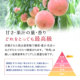 �A�C�e���C���[�W