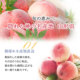 �A�C�e���C���[�W