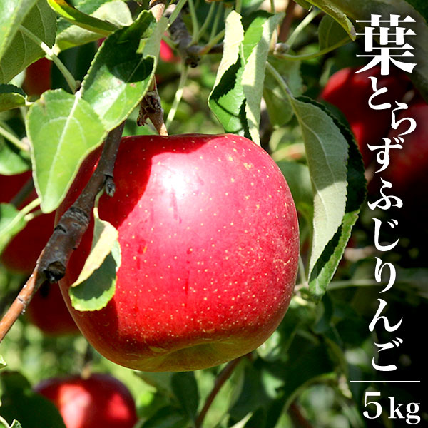 ACeC[W
