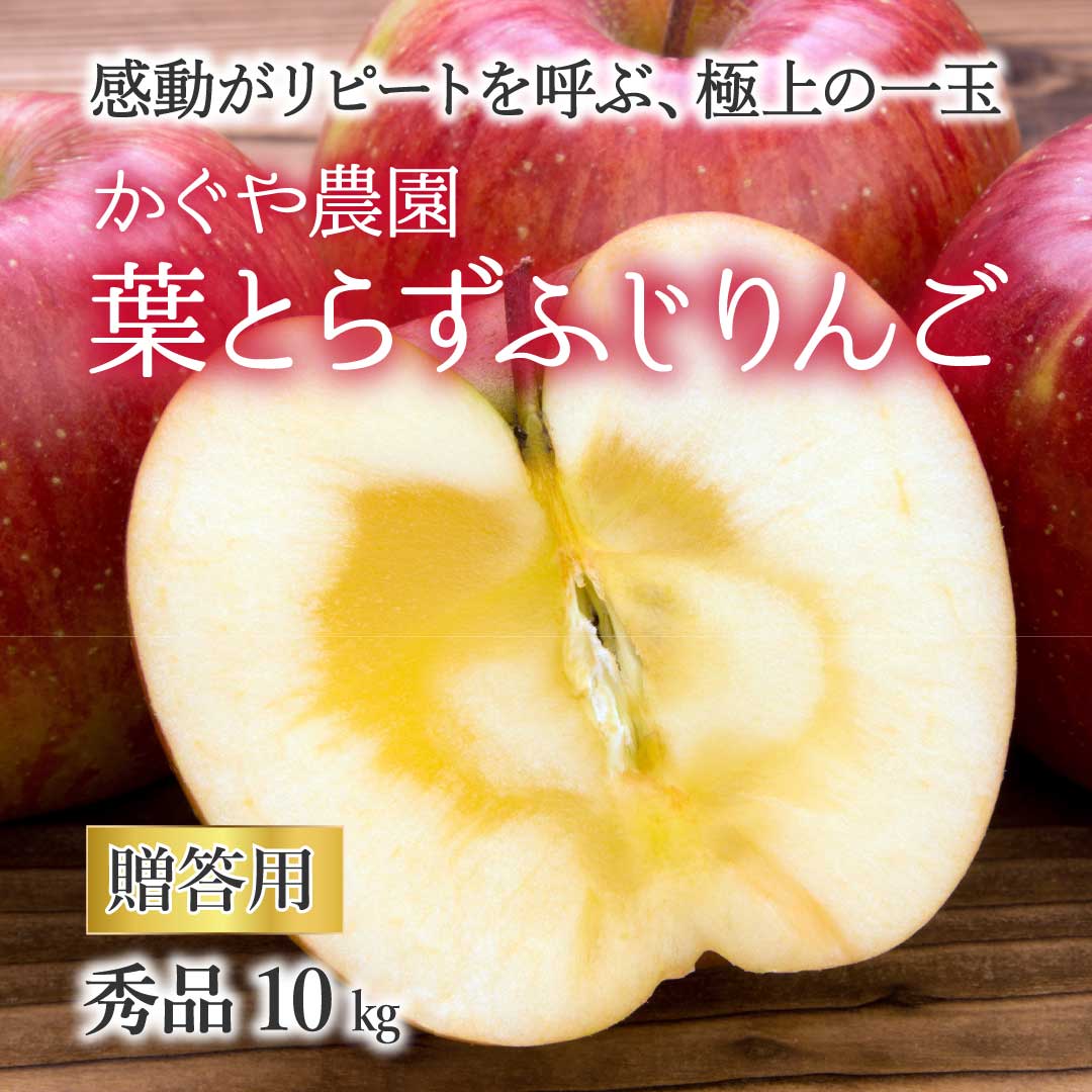 青森県産 贈答用 葉とらずりんご 10kg(25～40玉) かぐや農園より産地直送
