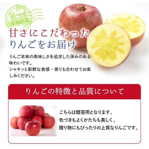 てらりんこさん専用出品 青森県産 贈答用 葉とらずりんご 5kg(13～20玉)かぐや農園より産地直送