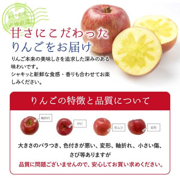 りんごページ 青森県産訳あり葉とらずふじりんご10kg かぐや農園より直送