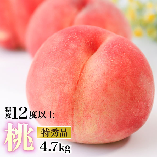 福島県産 特秀 光センサー桃 4.7kg(14～22玉)｜産地直送 送料無料