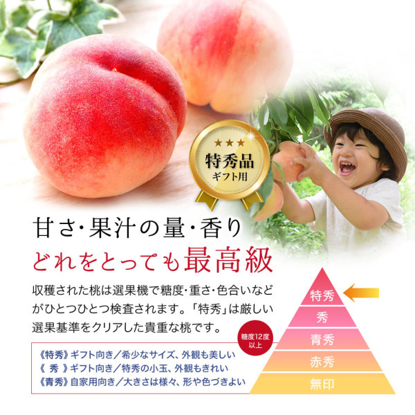 福島県産 特秀 桃 2.7kg箱(7〜16玉)送料無料 光センサー検査 糖度検査済み 贈答ギフト