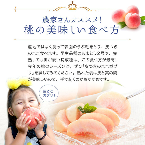 桃の名産｜福島県産 特秀 光センサー桃 2.7kg(7～16玉)