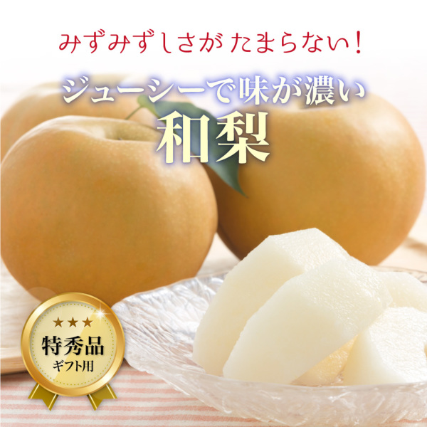 【特秀・贈答用】福島県産 産地直送 朝採れ【５キロ】 福島県産 光センサー特秀品梨 4.7kg（12～18玉）