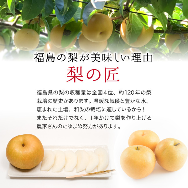 ふくしま梨|福島県産 光センサー特秀品梨 4.7kg(12~18玉) ふくしま梨|福島県産 光センサー特秀品梨 4.7kg(12~18玉)