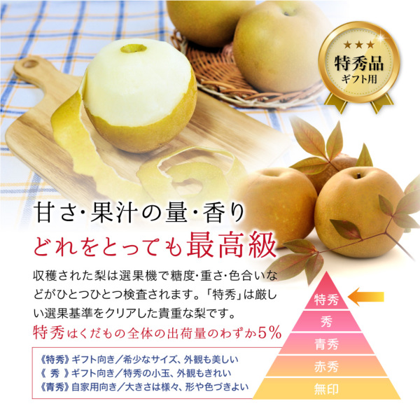 新入荷 超希少特大秀品 高級採れたて 新鮮生ブルーベリー 残り