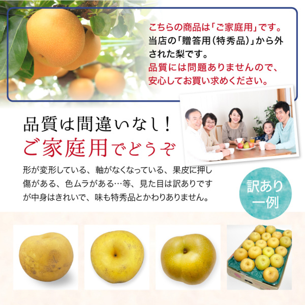 箱番号7.A級大玉アテモヤ贈答品 pd_2e98e13eca030710256a3dfa4d5
