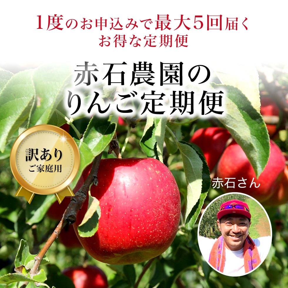 青森りんご定期便2.5kg(6～12玉)|旬の青森県産ご家庭用葉とらずふじ