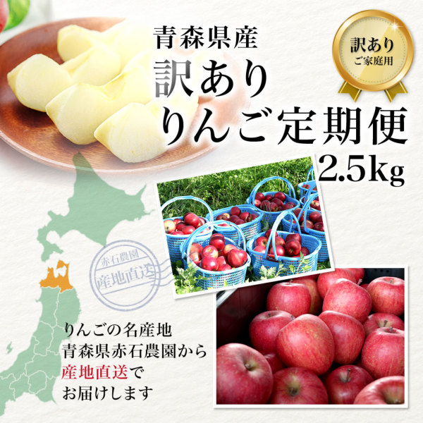 青森りんご定期便 2.5kg 定期便 東北ハッピー農園