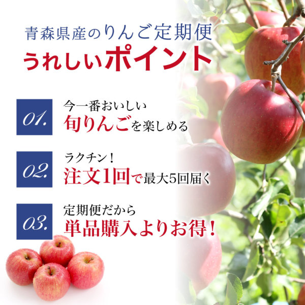 青森りんご定期便2.5kg(6～12玉)|旬の青森県産ご家庭用葉とらずふじ