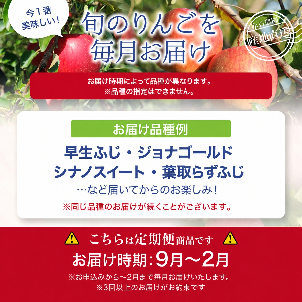 �X���Y ��� ����� ���͂������ƕi��