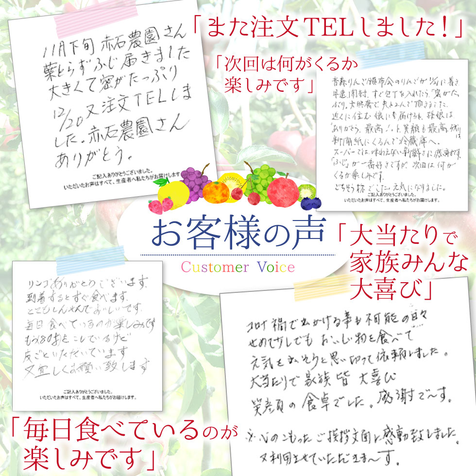 �X���Y ��� ����� ���͂����e