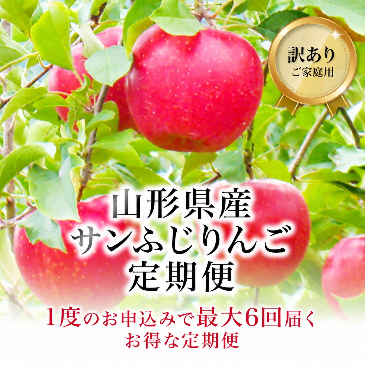 �R�`���Y �T���ӂ���� �����