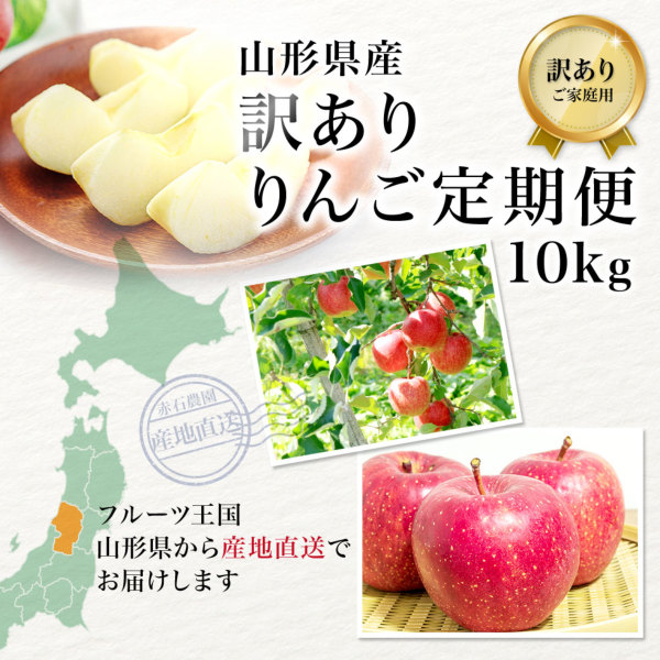 山形りんご定期便10kg(26～40玉)｜旬の山形県産訳ありサンふじりんごを