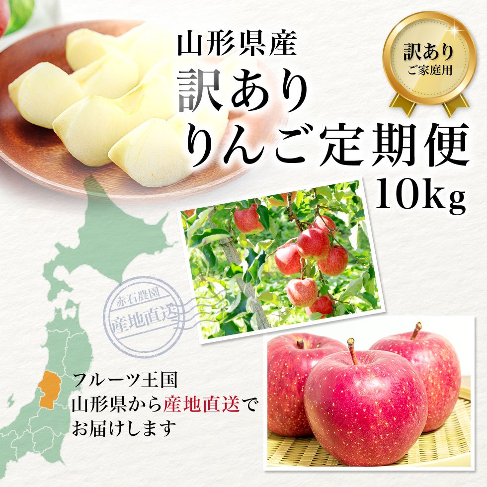 �R�`���Y �T���ӂ���� ����� 10kg ���͂����e
