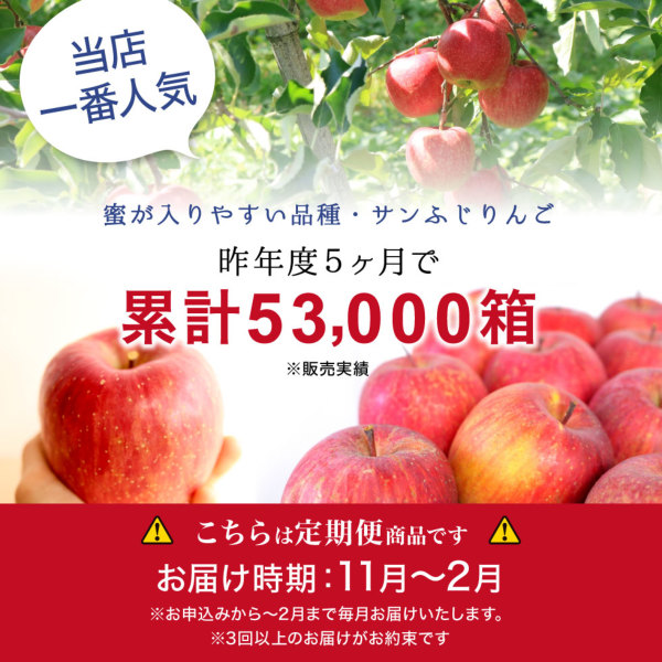 りんご　発送時期プロフィール記載 さん専用　スキーウェアセット AS09-25A りんご サンふじ（松川町産）秀品 約5kg ／2025年11月中旬頃
